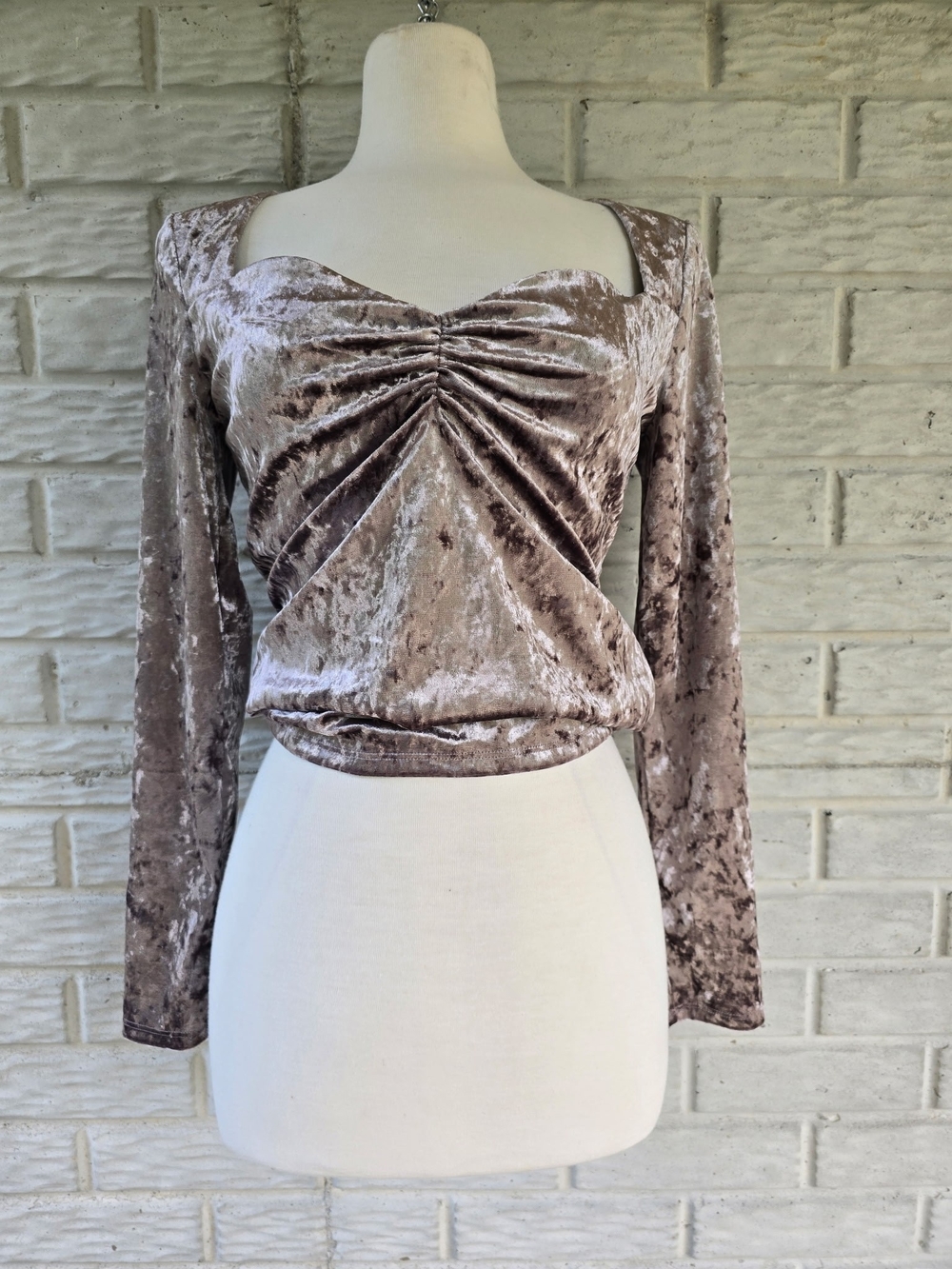 Express Taupe Crushed Velvet Ruched Long Sleeve Top